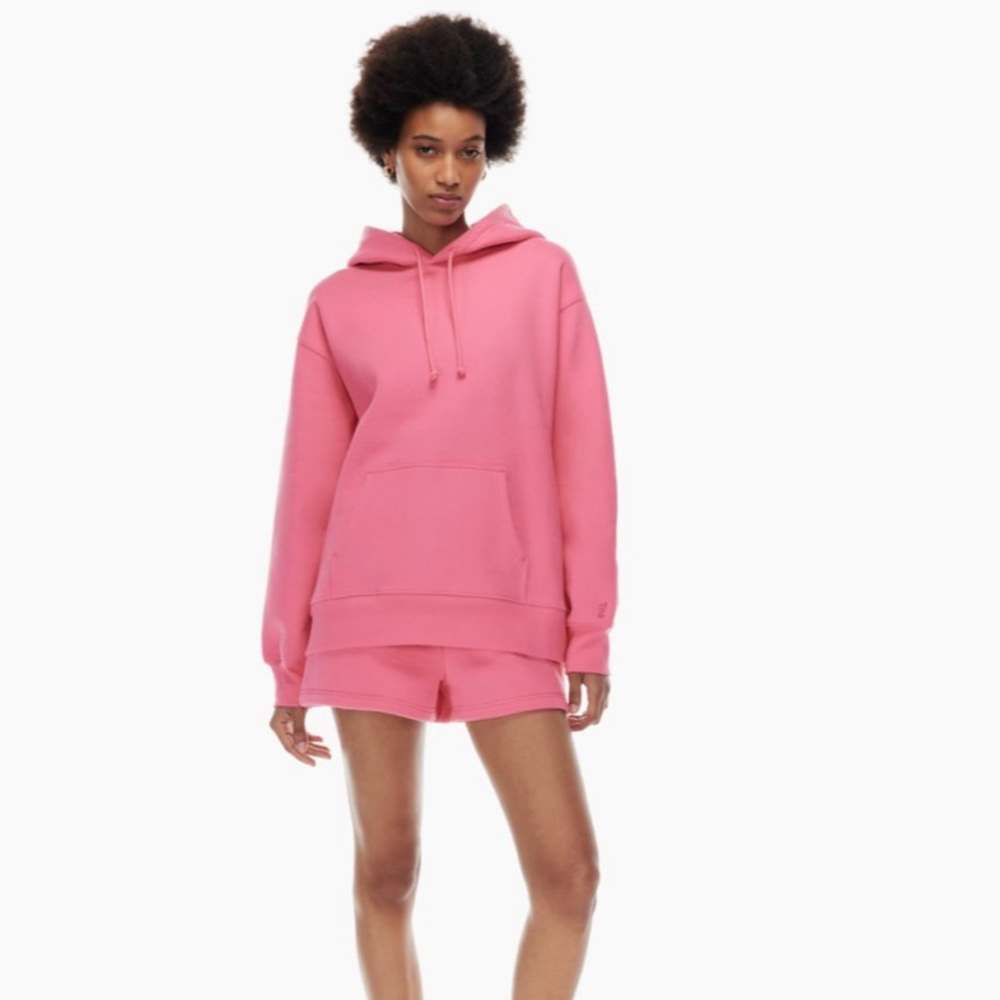 aritiza hoodie